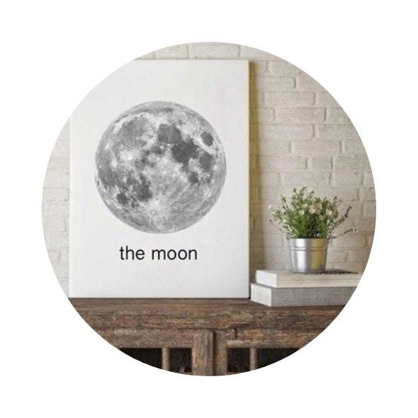 poster the moon